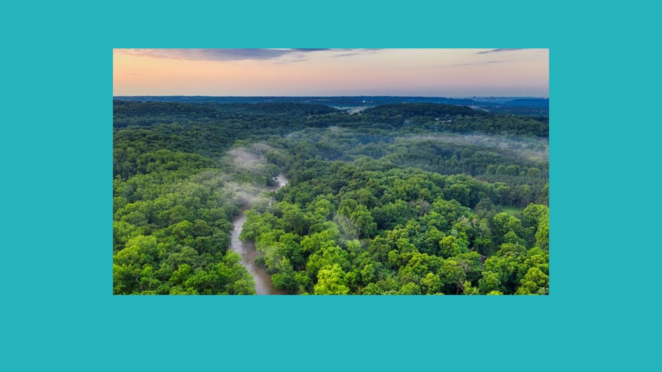 Proyecto del curso de introducción al desarrollo web