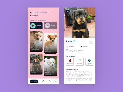 Pequeña miniatura del proyecto de PetsApp